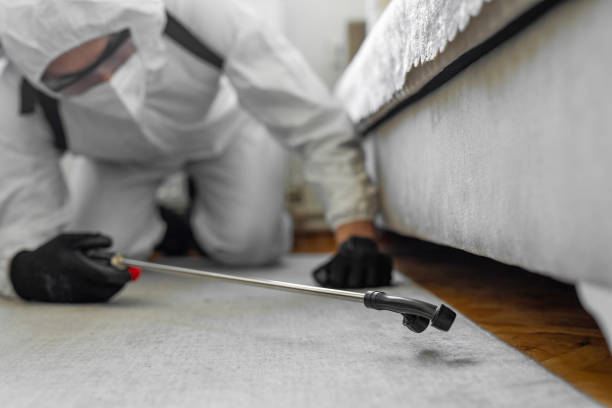 Professional Pest Control technician working in Newaygo County County, MI